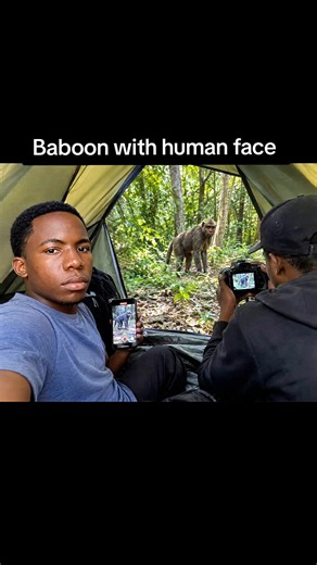 Congo Basin Wildlife: Why the Rainforest Is Considered So Dangerous
