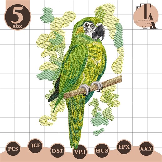Parrot Embroidery Design, Tropical Bird Stitch File, Green Macaw Animal Art, Exotic Nature Embroidery Design - Etsy