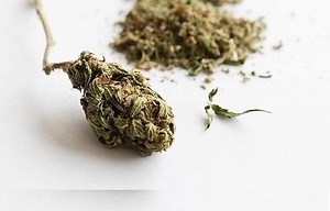 How to Choose the Right Cannabis Products for You