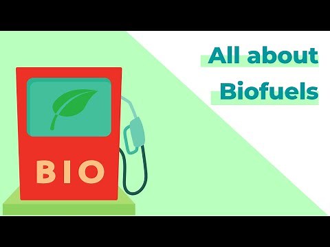 All about Biofuels