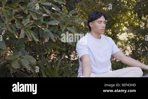 Asian man starting prayer flowing, raising arms overhead calming in garden beside shrub, copy space. Meditation, mindfulness, serenity, breath, outdoors, nature, greenery Stock Video Footage - Alamy