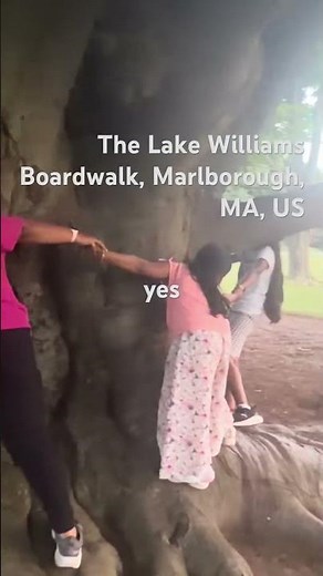 The Lake Williams Boardwalk in Marlborough, MA