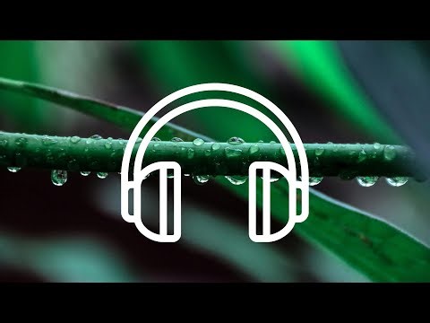 Soothing Raindrops ASMR 💧 Gentle Rain Sounds for Sleep & Stress Relief