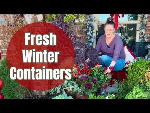 ❄⛄ Planting A Trio of Winter Containers for Season-Long Color ❄️🌿 || Winter Container Gardening