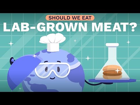 Lab Meat: The Taste of a Green Future | ClimateScience #6