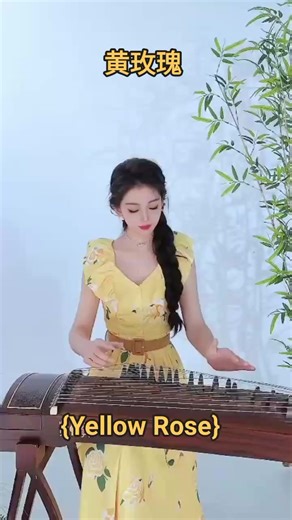 黄玫瑰 Huáng méiguī {yellow rose}🌹❤🌹❤🎼 #folkmusic #musicinstrumental #mandarinsong #viralpost #guzhengmusical #fyp #jangkauanluas #sorotan | Mandarin Song