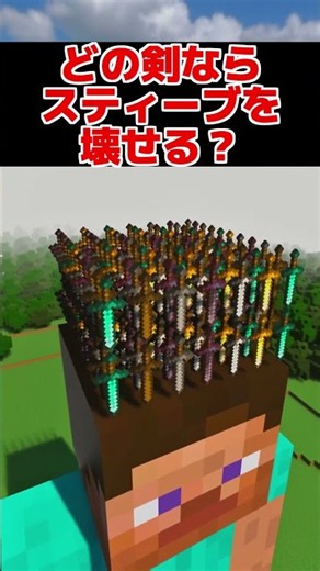 Which sword can break Steve? #shorts #minecraft