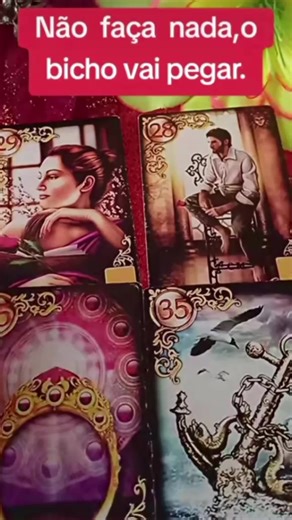 #fyp #brazil #portugal🇵🇹 #brazil #portugal🇵🇹