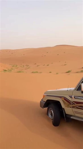 تماني الليالي والأحداث في شرورة