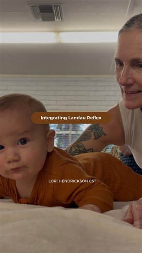 Lori Hendrickson, CST on Instagram: "Say ‘hi’ to baby Dean from this weekend’s workshop in Arizona! Besides being the cutest thing ever, Dean was having a hard time integrating Landau into movement. He wasn’t making the connection with his shoulders and arms. His knees couldn’t tuck underneath him because he was holding his torso up with only his neck muscles (which tire out pretty quickly). What I’m doing here is attempting to give him some proprioceptive feedback - showing his brain where his