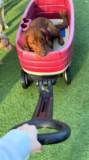 Tonight‘s episode of the stuff that Spike lets me do with him at work