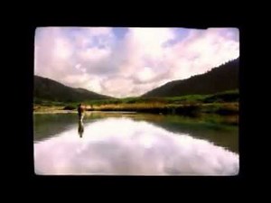 K-fee commercial but the screamer has interrupted again