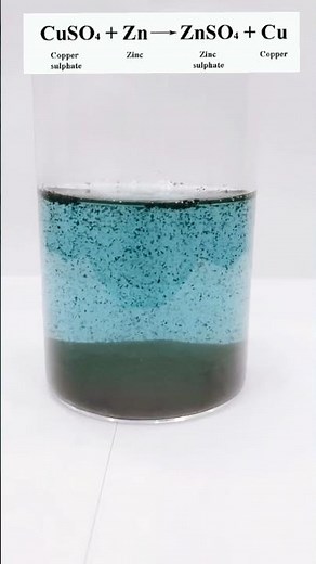 Displacement Reaction🤯 #Reaction between copper sulphate and zinc metal #class 10 chemistry