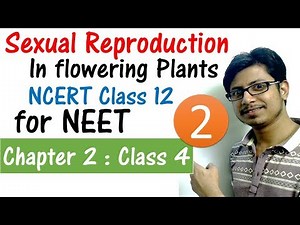 Sexual Reproduction in Flowering Plants Video Lecture | Crash Course for CSIR NET Life Sciences (English)