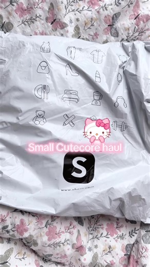 Charming Cute Core Haul: Adorable Finds for Collectors