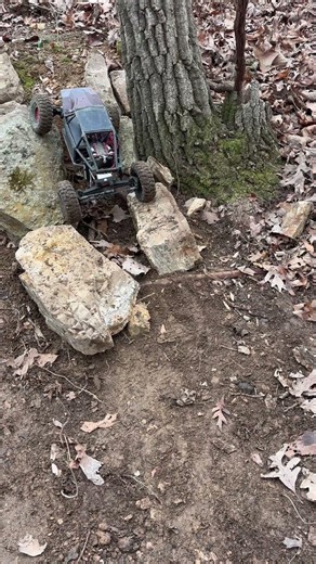 Homemade crawler course in the woods. Capra