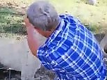 Shocking video shows lion nearly ripping man's arm off at game lodge