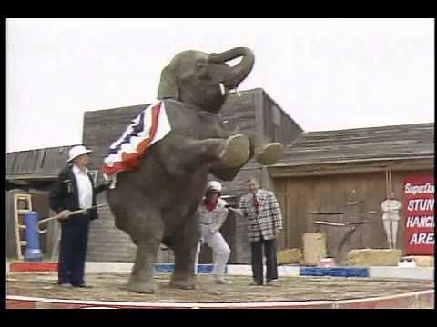 Super Dave Osborne's stunt school