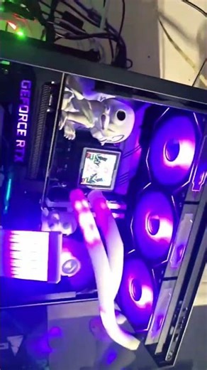 The Best SetUp! primer comentario config!