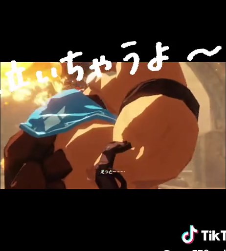 キヨとゼルダ無双の熱い展開