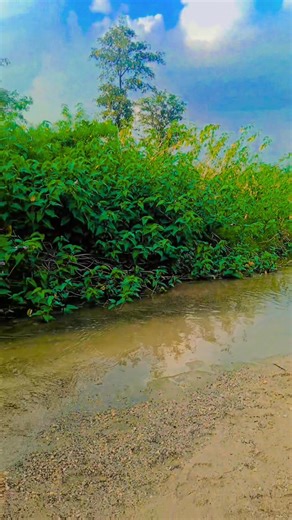 75 reactions | Nitish Raza Ji on Reels | Facebook