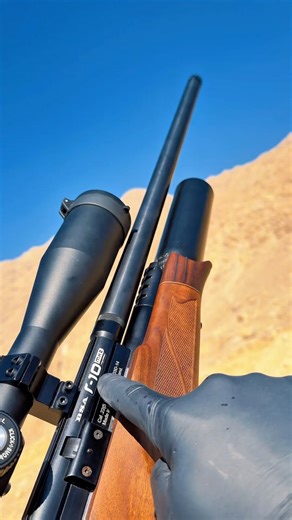 PCP Plinking Session: BSA R-10 SE in Action#airrifleshooting #airgun