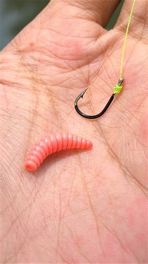 How to quickly install caterpillar bait #tutorial #fishing #handmadelure #gtknot #fishingtips #fish