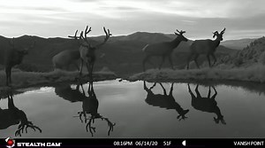 2.1K views · 75 reactions | On this day, last year. Infinity pool transition clip magic  @ryantuttle_ | Stealth Cam | Facebook