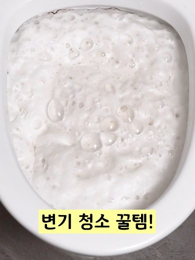 초간편 변기 세정! 세면대, 싱크대, 배수관 손 대지 않고 내부 청소 방법