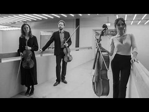 Johann N. Hummel - Trio in E - flat Major for 2 Violas and Cello: Sekulovic/Chenuet/Busse