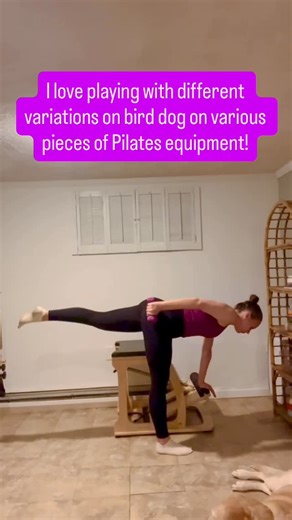 Theresa Ruggles | Pilates and E-RYT 500 Yoga Instructor on Instagram: "I’m on one spring on number 3. My fingers never wrap under the bottom of the pedal…you want long fingertips here! The goal is to hover the pedal when you lift the leg but a newer student can modify it by pressing the pedal all the way down for balance support. Here the progression: 1- Hinge from the hip creases to press the pedal down 2- Hover the pedal and lift the opposite leg 3- Add the weight arm reaching back 4- Hold the
