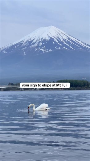 Hi I’m a wedding photographer who grew up in Japan and I think you should elope here ❤️ #japan #mtfuji #japantravel #destinationwedding