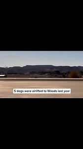 1.5K views · 304 reactions | BREAKING NEWS: An anonymous donor has...