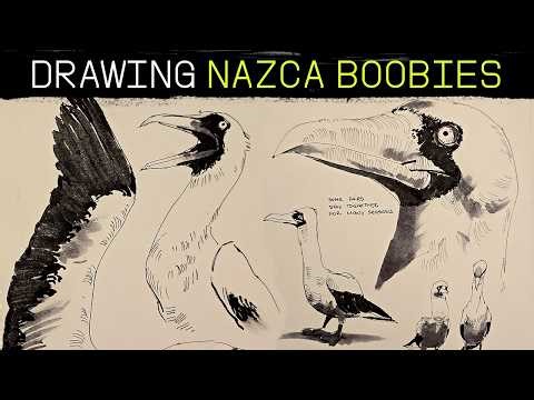 Back to Ink. Sketching birds.