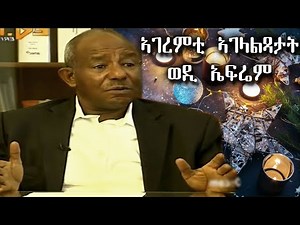 ኣገረምቲ ኣገላልጻታት ወዲ ኤፍሬም Sebhat Efrem Impressive explanations