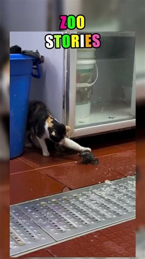 School memes that hit too hard 😭 #memeorc #raid #lootpile #meme #humor #funny #brutalmemes #memes