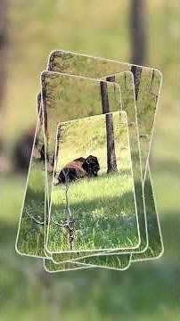 🤯 You WON'T Believe These Awesome Places in South Dakota! | Top SD Attractions 🏞️