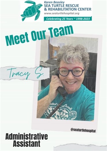 Meet our Administrative Assistant and Volunteer Coordinator Tracy! After 26 years in Education, Tracy "retired" and moved to the area from Greensboro, NC. She is thrilled to be able to work with the Karen Beasley Sea Turtle Rescue and Rehabilitation Center. In 2017 she was able to witness a public sea turtle release and knew one day she would be part of KBSTRRC! "Working here is a dream come true! I absolutely love working with all the volunteers! I have never experienced such dedication to a mi