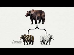 L'ADN, c'est l'évolution