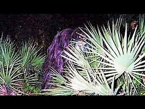 9 SHOCKING Cryptids of the United States