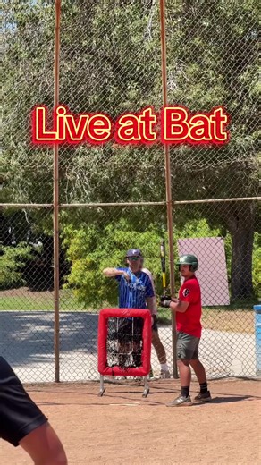 Understanding Hitter Weaknesses in Live Baseball At Bats