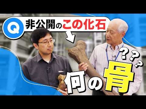 化石標本の謎、50年越しに解明！博物館の“裏側”に潜入！