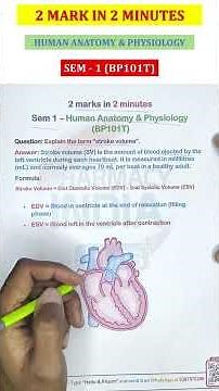 Explain the term "Stroke Volume" ? #humananatomy #bpharmacy