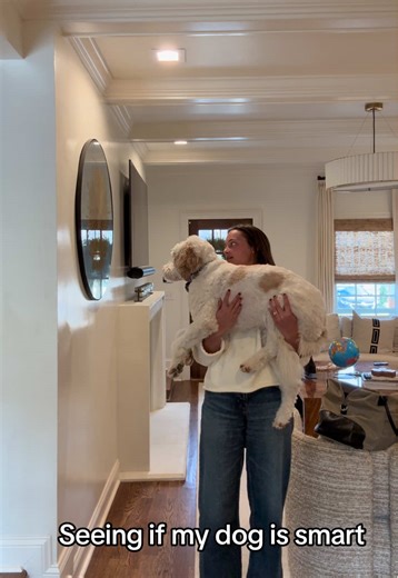 Testing My Dog's Intelligence: Fun Challenges