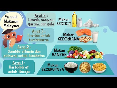 Sains Tahun 3 | Manusia | Tujuh (7) Kelas Makanan | Piramid Makanan | Pemakanan Seimbang