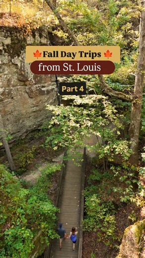 🍁Can you be-leaf this amazing place! 🍁 Shawnee National Forest is a true hidden gem in far Southern Illinois. Home to incredible views and hikes, this is an amazing Midwest fall getaway spot. 🍁 While there are many places for explore, these are just a few of my favorites: 🥾Garden of the Gods (easy, watch for cliff edges( 🥾Giant City State Park (easy and kid friendly, don't miss Boo Castle Park nearby and dining at the lodge) 🥾Ferne Clyffe State Park (easy to moderate, wet weather waterfall