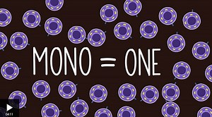 Monoclonal antibodies - Explaining key biological concepts: Video playlist - BBC Bitesize