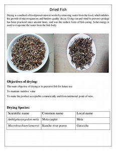What prevents spoilage in dried fish? [2025] | QAQooking.wiki