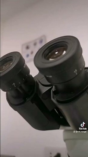 What is that wiggling thing in the vaginal swab. Trichomonas vaginalis under the microscope #mls