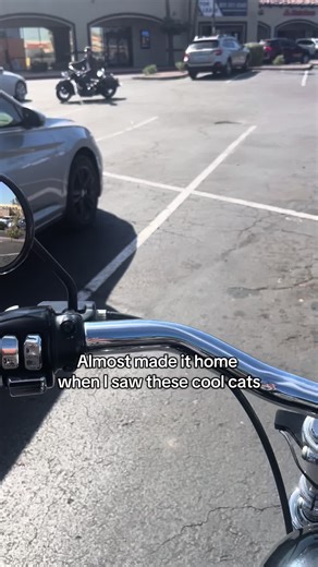 Encounter with Arizona Gasoline Cowboys Riding Group